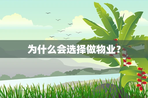 为什么会选择做物业？
