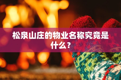 松泉山庄的物业名称究竟是什么？