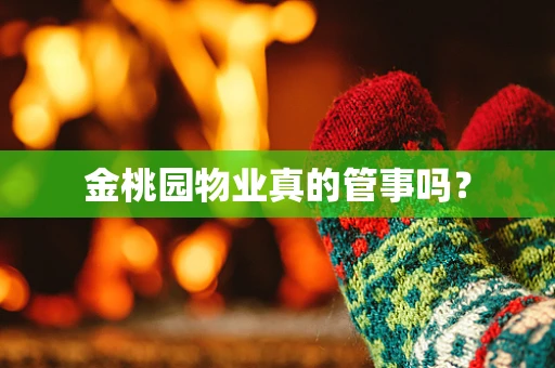 金桃园物业真的管事吗？