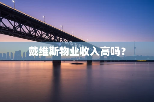 戴维斯物业收入高吗？
