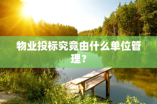 物业投标究竟由什么单位管理？