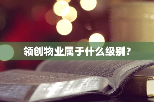 领创物业属于什么级别？