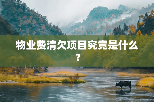 物业费清欠项目究竟是什么？