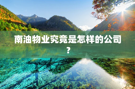 南油物业究竟是怎样的公司？