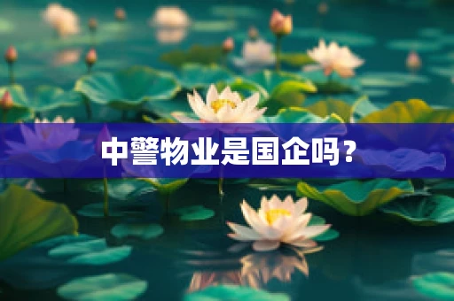 中警物业是国企吗？