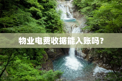 物业电费收据能入账吗？