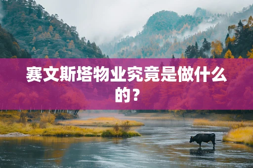 赛文斯塔物业究竟是做什么的？