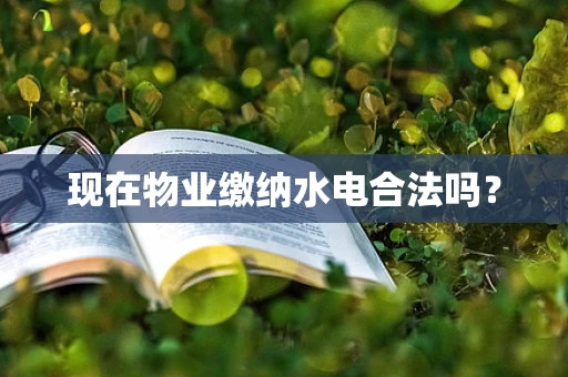 现在物业缴纳水电合法吗？