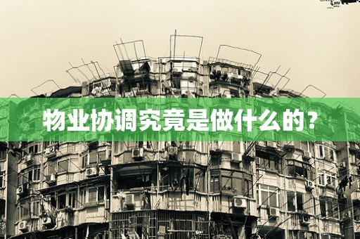 物业协调究竟是做什么的？