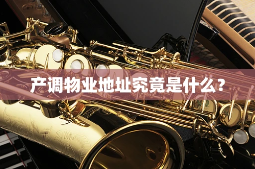 产调物业地址究竟是什么？