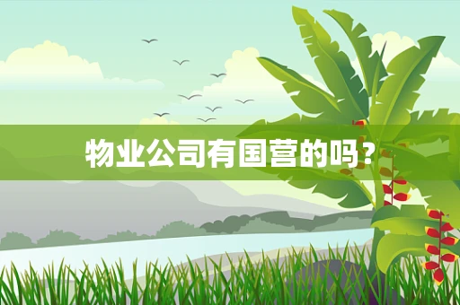 物业公司有国营的吗？