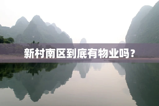 新村南区到底有物业吗？