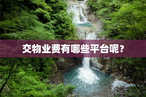 交物业费有哪些平台呢？
