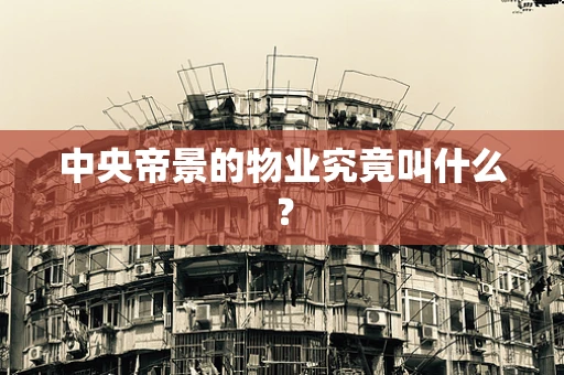 中央帝景的物业究竟叫什么？