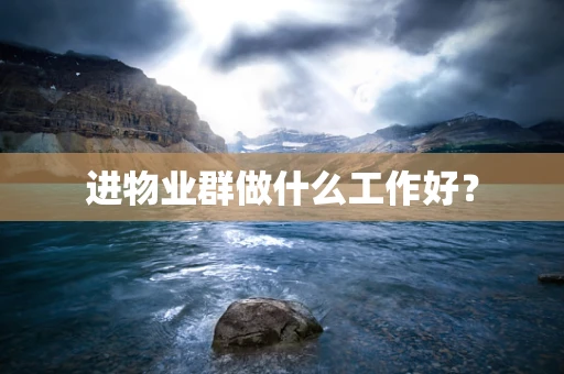进物业群做什么工作好？