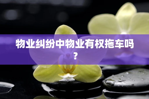 物业纠纷中物业有权拖车吗？
