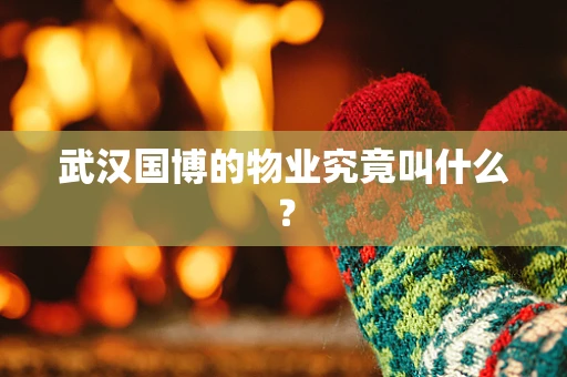 武汉国博的物业究竟叫什么？
