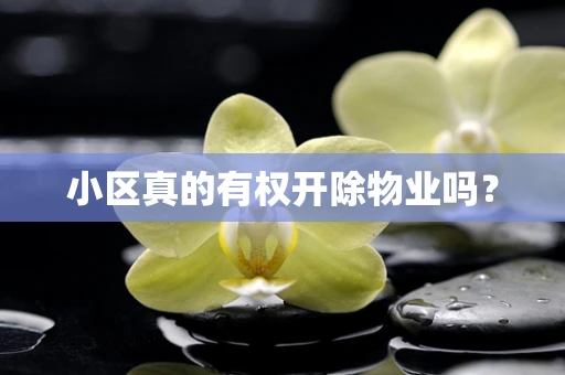 小区真的有权开除物业吗？