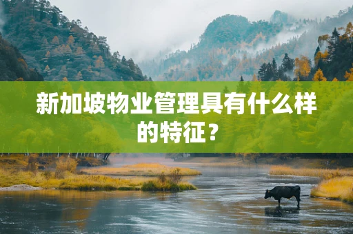 新加坡物业管理具有什么样的特征？