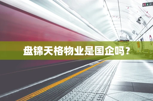 盘锦天格物业是国企吗？