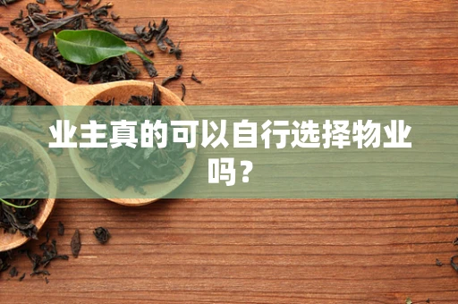 业主真的可以自行选择物业吗？