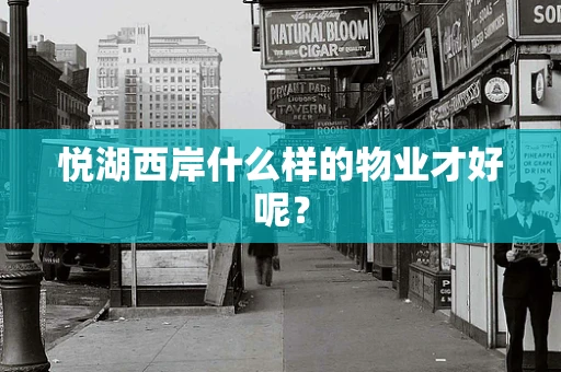悦湖西岸什么样的物业才好呢？