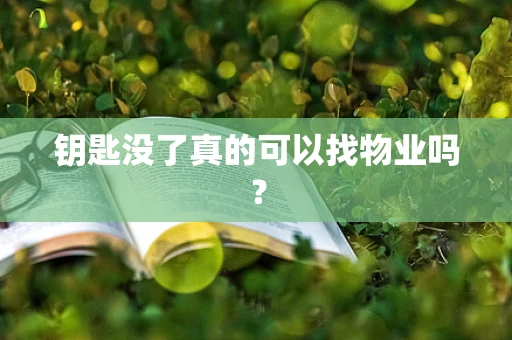 钥匙没了真的可以找物业吗？