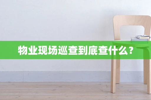 物业现场巡查到底查什么？