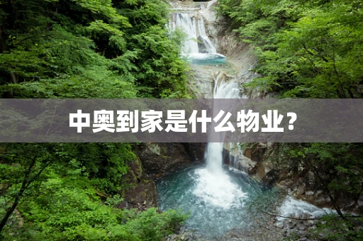 中奥到家是什么物业？