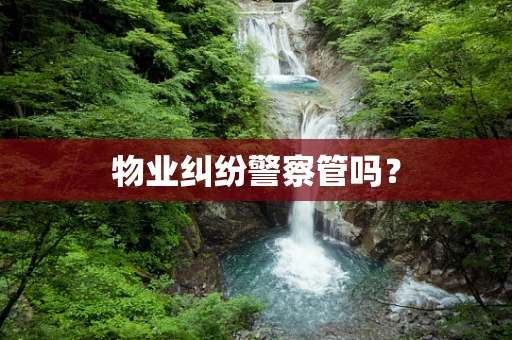 物业纠纷警察管吗？