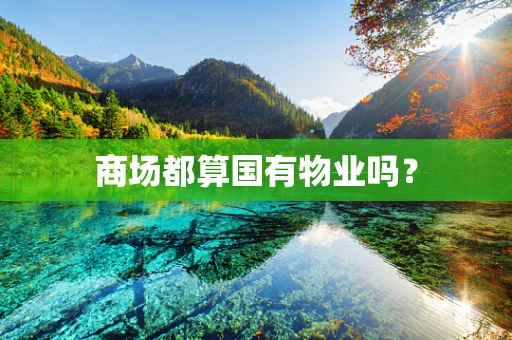 商场都算国有物业吗？