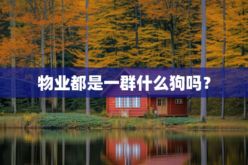 物业都是一群什么狗吗？