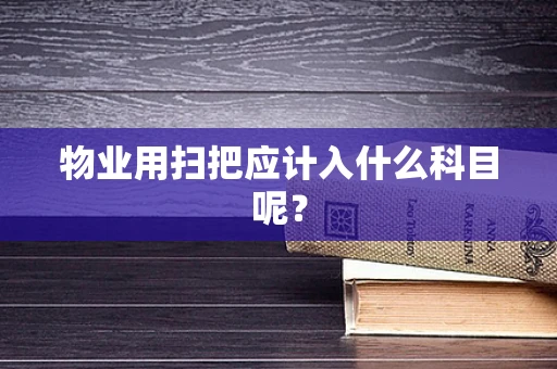 物业用扫把应计入什么科目呢？