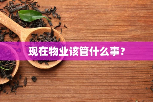 现在物业该管什么事？