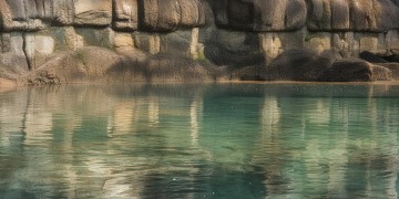 玄武小区物业安全有保障吗？