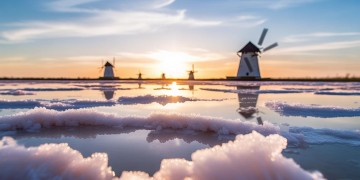 东盐滩物业费究竟什么时候交？