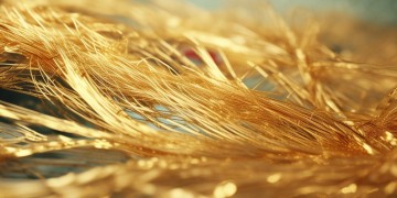 物业本体金究竟有什么用？