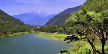 桂园小区现在没有物业了吗？