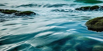 海联物业究竟怎么样？