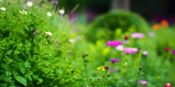 龙湖物业转正真的容易吗？