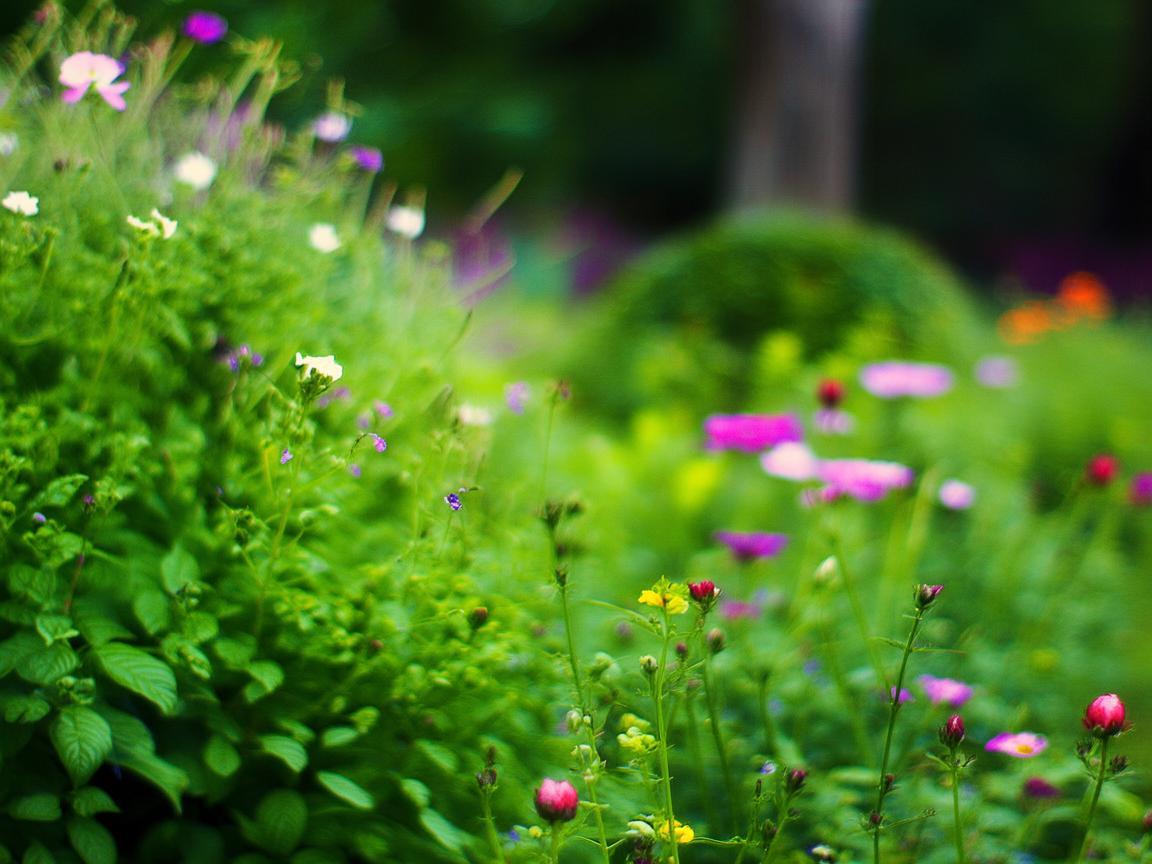 龙湖物业转正真的容易吗？