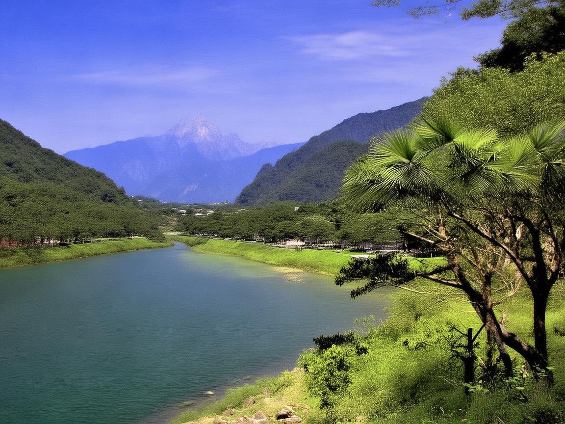 桂园小区现在没有物业了吗？